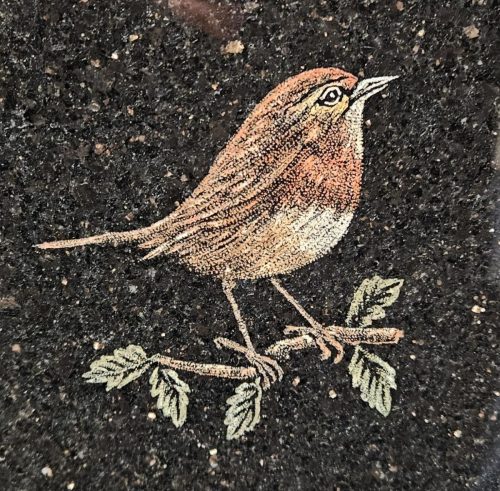 ROBIN ETCHING 2